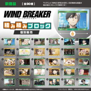 WIND BREAKER　積み積みブロック