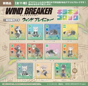 WIND BREAKER　ウィンド ブレイニャー　ギラギラブロック