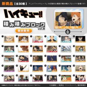 ハイキュー!!　積み積みブロック vol.8