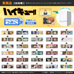 ハイキュー!!　つみこま　２種セット