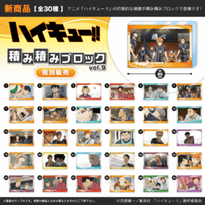 ハイキュー!!　積み積みブロック vol.9