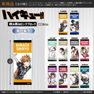 ハイキュー!!　 積み積みロングブロック　激闘!!ver.　