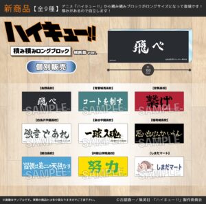 ハイキュー!!　 積み積みロングブロック　横断幕ver.　